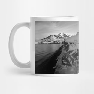 Petropavlovsk Beach. Kamchatka, Russia Mug